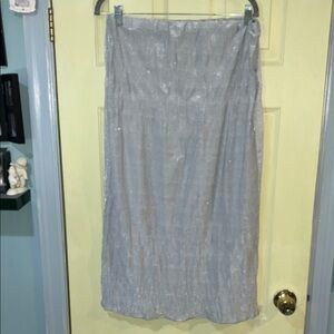 ZARA glitter elastic waist sheer skirt